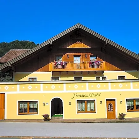 Wald Hof bei Salzburg
