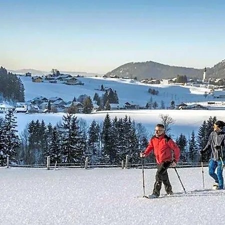 Wald 3* Hof bei Salzburg