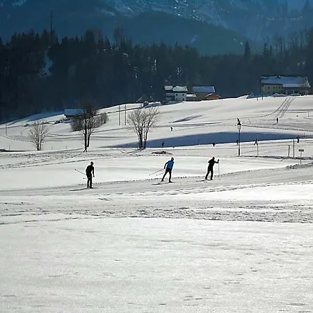 Wald 3* Hof bei Salzburg