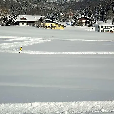 Wald Hof bei Salzburg